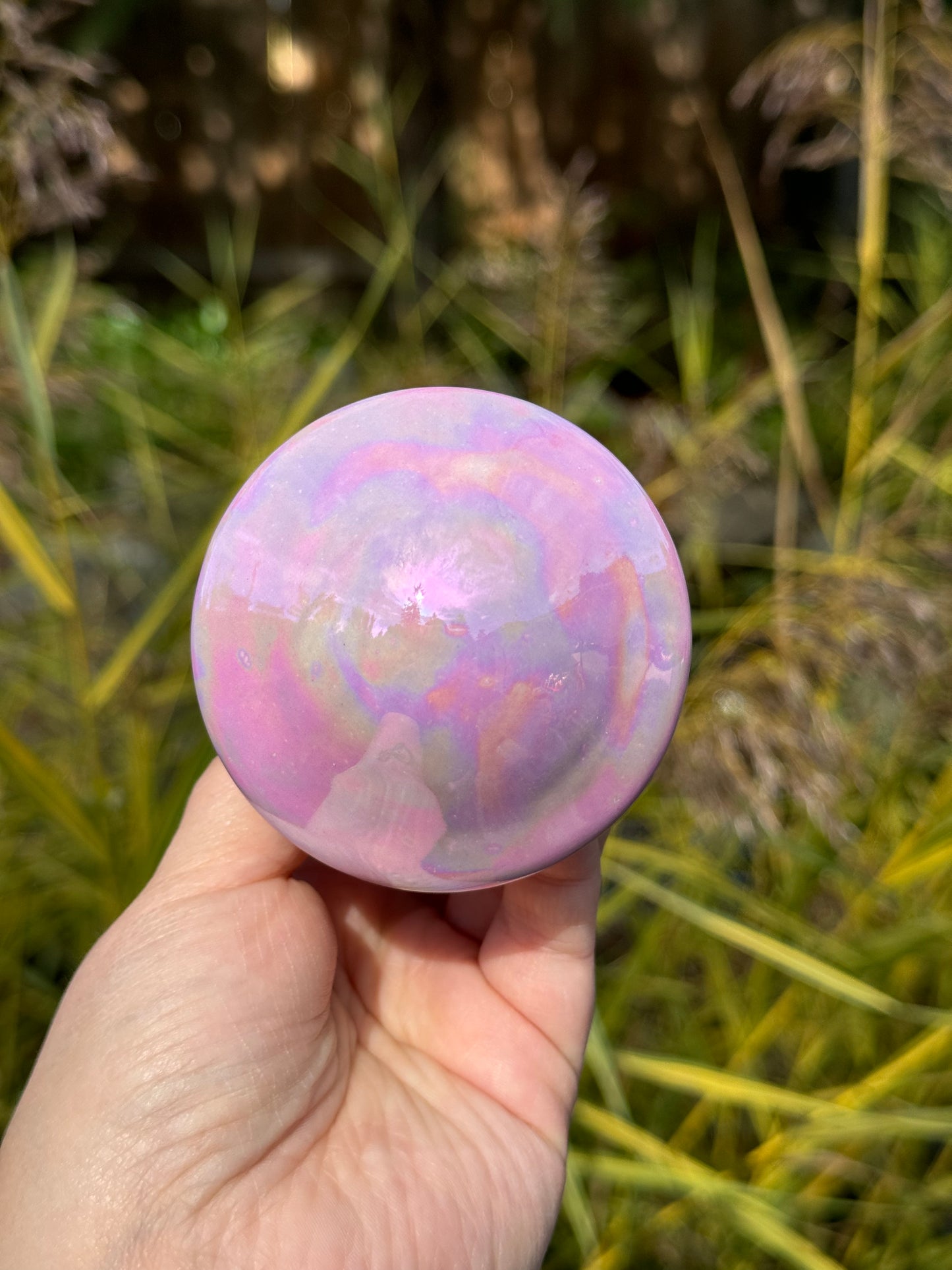 Purple Mother of Pearl Mushroom