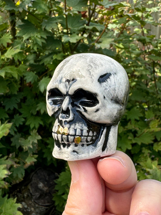 Small Black Skull with real gold teeth